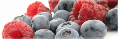 Antioxidánsok Antioxidánsok